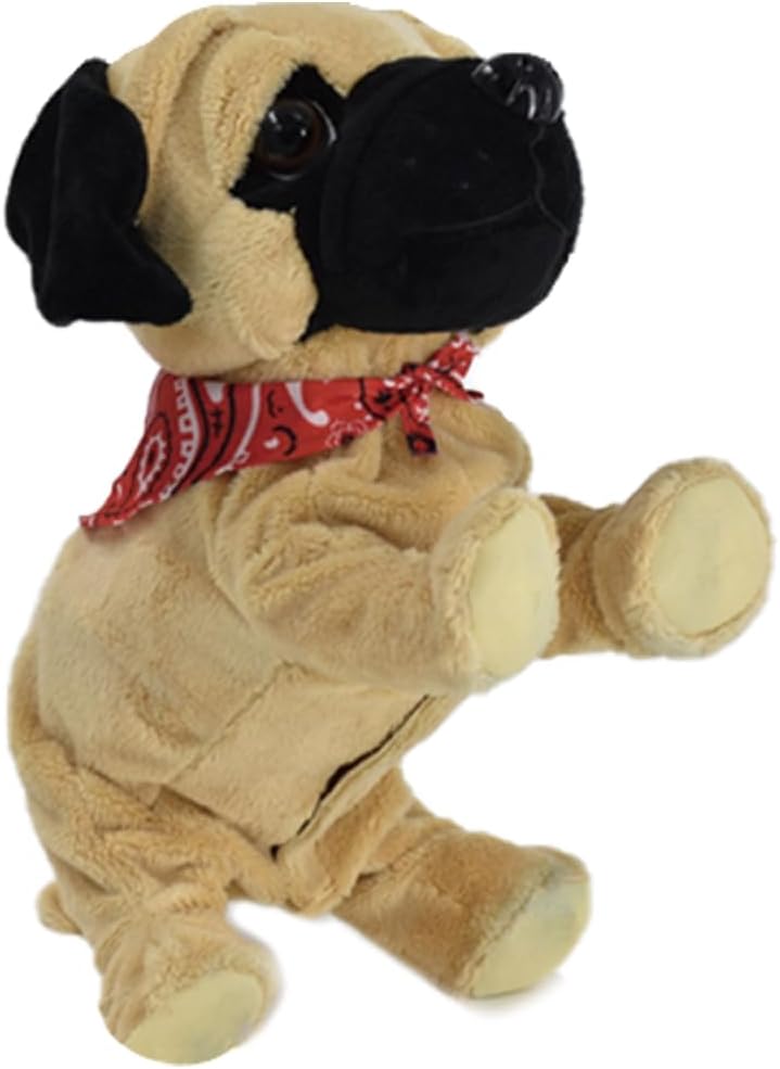 Pug Daddy