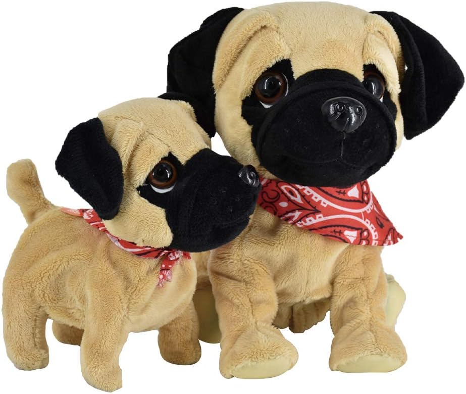 Pug Daddy & Pug Puppy