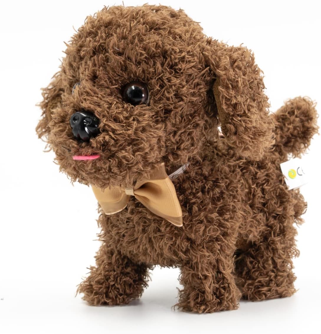 Labradoodle